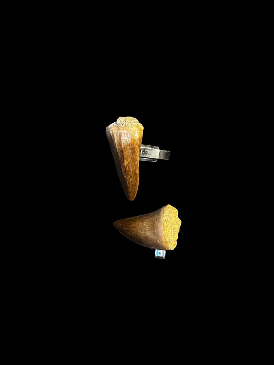 Luxury 925 Sterling Silver Cufflinks Featuring Genuine Mosasaurus Teeth A Rare Prehistoric Statement Luxury 925 Sterling Silver Cufflinks Featuring Genuine Mosasaurus Teeth A Rare Prehistoric Statement von VonArmin