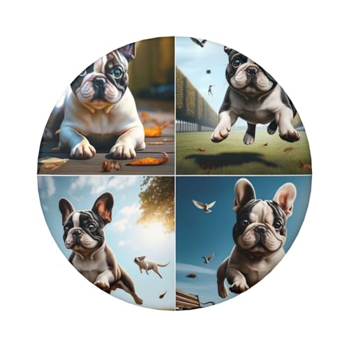 6 cm große, laminierte Pinback-Knöpfe mit lustiger Bulldogge, 5 Stück, runde Abzeichen mit glänzender Oberfläche und sicherer Pinback von Vortithora