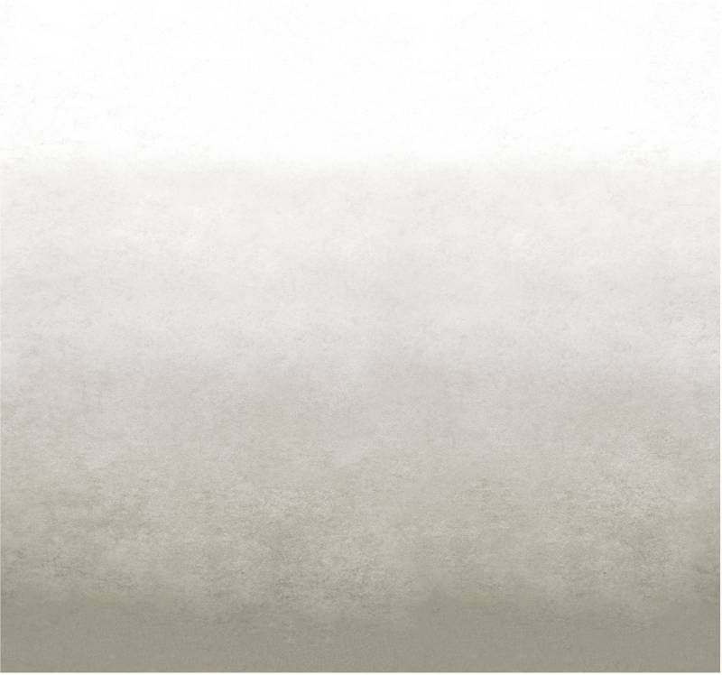 vtwonen Fototapete "Degrade" Ton-in-Ton glatt Grau - 300x280 cm von Vtwonen