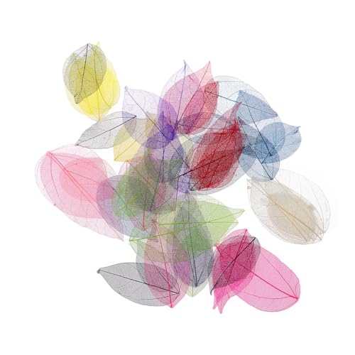 Vynetra 50 Stück natürliche Ficus Religiosa Blätter Exquisite gemischte Farben Skelett Blätter für Hochzeit Weihnachten Dekorationen Camping Zubehör für draußen von Vynetra