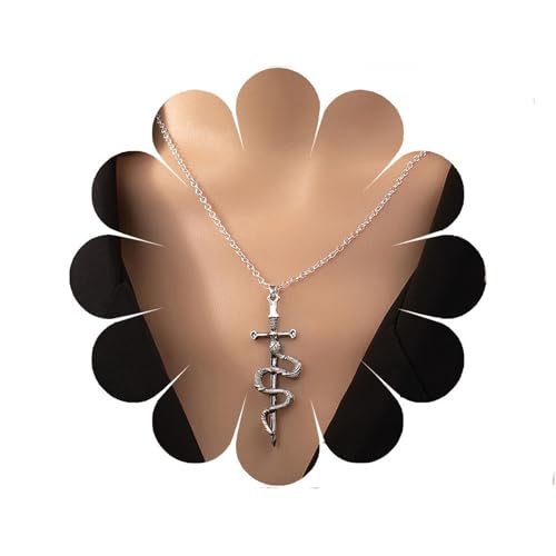 W WEILIRIAN Gothic Schlange Anhänger Halskette Silber Schlange Halskette Kette Punk Schwert Kette Halskette Personalisierte Schlange Halskette Damen Schmuck von W WEILIRIAN