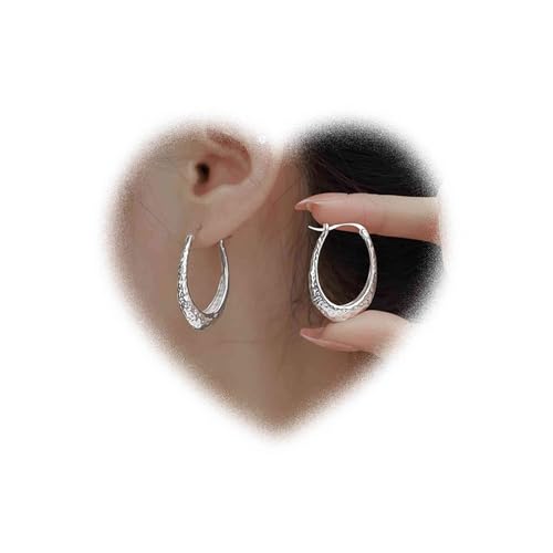 W WEILIRIAN Punk Oval Hoop Ohrringe für Mädchen Oval Hoop Anhänger Ohrringe Silber HoopOhrringe Schmuck Damen Geschenk von W WEILIRIAN