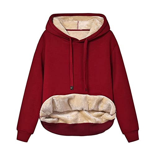 Sweatshirt Damen Gefüttert Warm Fleece Pullover Kapuzenpullover Sweatjacke Mit Kapuze Langarm Oversized Einfarbig Hooded Pulli Oberteile Teddy Langarmshirt Herbst Winter Kapuzenjacke Streetwear von WANGTIANXUE