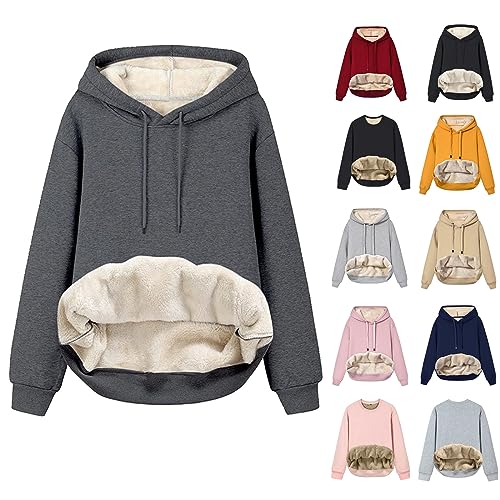 Sweatshirt Damen Gefüttert Warm Fleece Pullover Kapuzenpullover Sweatjacke Mit Kapuze Longsleeve Oversized Einfarbig Hoody Pulli Oberteile Teddy Langarmshirt Herbst Winter Kapuzenjacke Streetwear von WANGTIANXUE