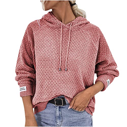 WANGTIANXUE Damen Chenille Pullover Hoodie Elegant Langarmshirt Hoodies Pulli Oberteile Einfarbig Sport Top Sweatjacke Locker Kordelzug Oberteil Freizeit Hemd Herbstpullover Hoody mit Kapuze von WANGTIANXUE