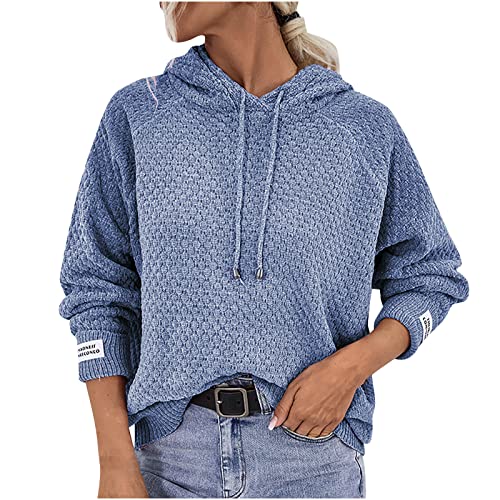 WANGTIANXUE Damen Chenille Pullover Hoodie Elegant Langarmshirt Hoodies Pulli Oberteile Einfarbig Sport Top Sweatjacke Locker Kordelzug Oberteil Freizeit Hemd Herbstpullover Hoody mit Kapuze von WANGTIANXUE