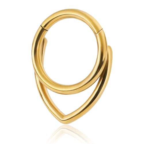 Septum Piercing,Septum Clicker Hinged Segmentring,316L Edelstahl Piercing Ring für Tragus Nostril Bauchnabel,Nasenpiercing Ring Cartilage Rook Daith Tragu Piercing Schmuck für Frauen und Männer (Gold) von WANTUSHUI