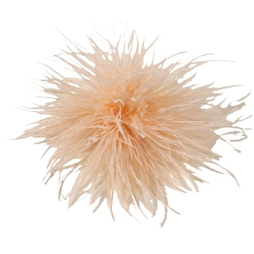 WANYI Federn Brosche Damen Fluffy Weich Federbrosche Ansteckblume mit Broschennadel Clip Boho Stil Broschen Clips für Kleidung, Rock, Hochzeit Party(25) von WANYI