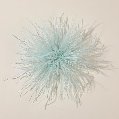 WANYI Federn Brosche Damen Fluffy Weich Federbrosche Ansteckblume mit Broschennadel Clip Boho Stil Broschen Clips für Kleidung, Rock, Hochzeit Party(29) von WANYI
