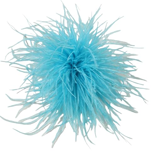 WANYI Federn Brosche Damen Fluffy Weich Federbrosche Ansteckblume mit Broschennadel Clip Boho Stil Broschen Clips für Kleidung, Rock, Hochzeit Party(36) von WANYI