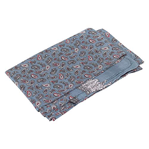 WANYING Edler Seidenschal für Herren 100% Seide 11 Momme Herrenschal Schaltuch Doppelseite für Frühjahr Sommer Herbst Casual Business 155×26cm - Paisley Grau von WANYING