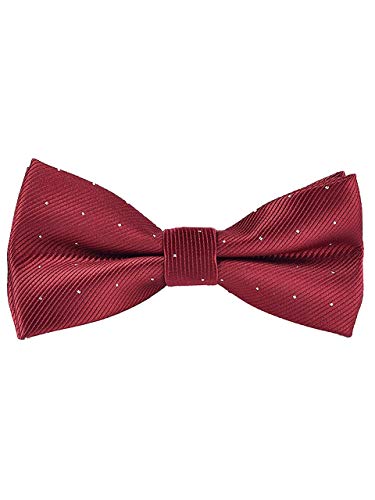 WANYING Herren Fliegen Schleife mit Hakenverschluß Bereits Gebunden Verstellbar 12 * 6cm Elegante Gentleman - Silber Gepunktet Einfarbig Burgund Rot von WANYING