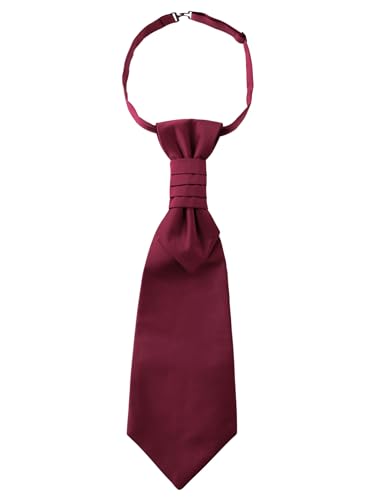 WANYING Herren Plastron Krawatte Vorgebunden mit Hakenverschluß Verstellbar Hochzeitskrawatte auf Hochzeiten Accessoires für den Bräutigam - Einfarbig Bordeaux von WANYING