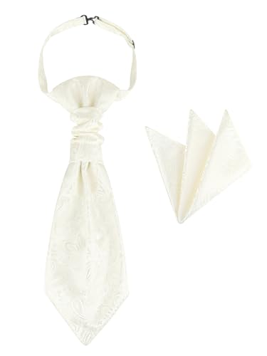 Herren Vorgebunden Plastron Krawatte & Einstecktuch 2 in 1 Set Verstellbar mit Hakenverschluß Hochzeitskrawatte auf Hochzeiten - Paisley Pattern Weiß von WANYING