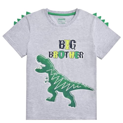 Große Bruder T-Shirt Dinosaurier Geschwister Bruder Kurzarm Zum Kleinkind Junge 100% Baumwolle Zum Big Brother Shirt befördert Drucken T Shirt Geschenk (Grau, 4-5Jahr) von WAWSAM