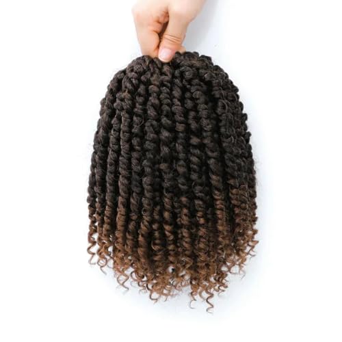 Häkelhaar, synthetisches Häkelhaar für schwarze Frauen, Haarverlängerungen, TBUG, 20,3 cm, 8 Stück/Lot Häkelhaar, synthetisches Häkelhaar für schwarze Frauen, Haarverlängerungen, TBUG, 20,3 cm, 8 Stück/Lot von WBLSPA