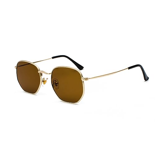 WDZAYXC Mode polygonale Sonnenbrille für Damen und Herren,Leicht Metallrahmen Brille，UV400 Schutz(Gold/Braun) von WDZAYXC