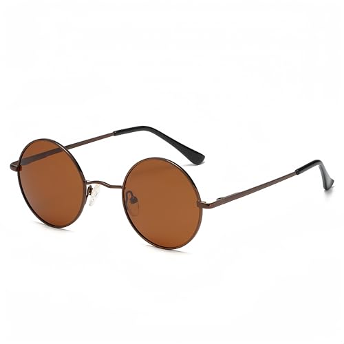 WDZAYXC Retro Classic Runde polarisierte Sonnenbrille mit Metallrahmen für Herren und Damen(Braun/Braun) von WDZAYXC