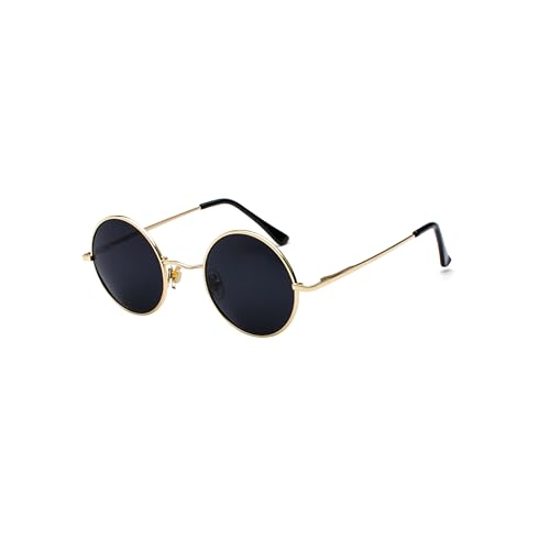 WDZAYXC Retro Classic Runde polarisierte Sonnenbrille mit Metallrahmen für Herren und Damen(Gold/Grau) von WDZAYXC