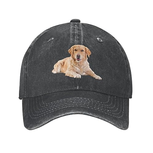 Baseballmütze Custom Baumwolle Baseballkappe Golden Retriever Hip Hop Frauen Männer Verstellbar Niedlich Hund Papa Hut Herbst Golf Geschenke von WEIXNCXCJ