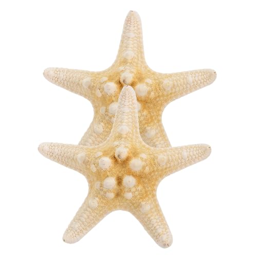 WEKADRIN 2stücke Seestern Haarspange Fünfzackig Strand Haarnadel Stern Haarschmuck Für Damen Mädchen Ca Handgefertigt Natürlich von WEKADRIN