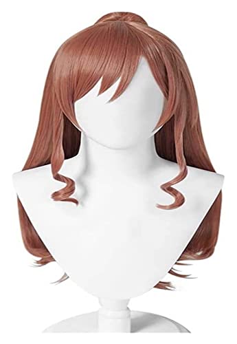 WELLHY Anime Cosplay Perücke Bang Dream Lisa Imai Perücke Braune Lange Perücke mit Gratis Haarnetz for Party Karneval Halloween Perücken Coser Perücke von WELLHY
