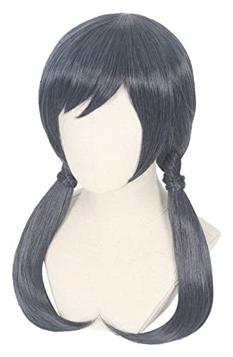 WELLHY Anime Cosplay Perücke Weathering with You Perücke Frauen Schwarz Doppelter Pferdeschwanz for Amano Hina Rollenspiel Halloween Party Zubehör Perücken mit Perückenkappe Coser Perücke von WELLHY