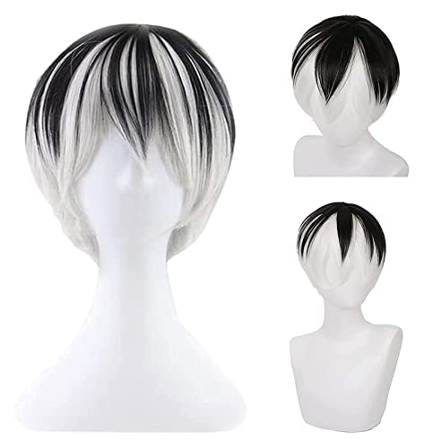 WELLHY Anime Cosplay Perücken kurz schwarz weiß Junge Mädchen Anime Show Party synthetische hitzebeständige Haarperücke Coser Perücke von WELLHY