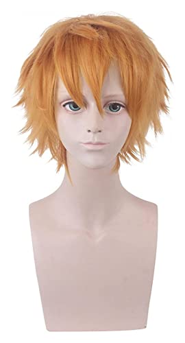 WELLHY Cosplay Perücke Anime 2020 Toilet-Bound Hanako-kun Minamoto Kou Cosplay Perücke Kunsthaar Party Kostüm Perücke mit Perückenkappe for Coser von WELLHY