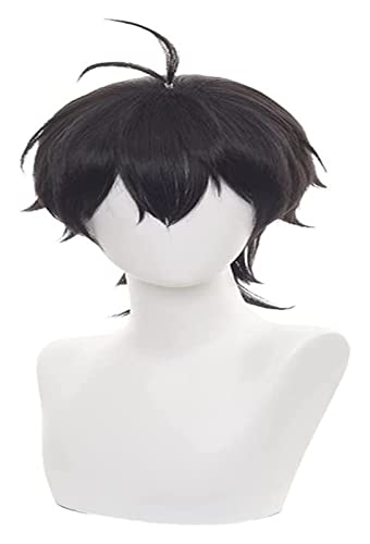 WELLHY Cosplay Perücke Anime Cosplay Kostüm Perücke SK∞/SK8 The Perücke Chinen Miya Perücke Schwarzes kurzes Haar mit Gratis Perückenkappe for Halloween Party Karneval Nachtleben Konzerte Hochzeiten f von WELLHY