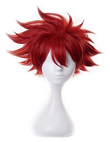 WELLHY Cosplay Perücke Anime Cosplay Kostüm Perücke SK∞/SK8 The Perücke Reki Perücke Rotes kurzes Haar mit gratis Perückenkappe for Halloween Party Karneval Nachtleben Konzerte Hochzeiten for Coser von WELLHY