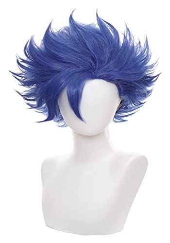 WELLHY Cosplay Perücke Anime Cosplay Kostüm Perücke SK∞/SK8 die Perücke Shindo Ainosuke Perücke Blaues kurzes flauschiges Haar mit Gratis Perückenkappe for Halloween Party Karneval Nachtleben Konzerte von WELLHY