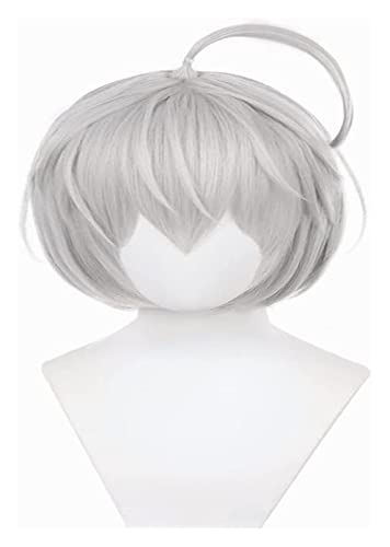 WELLHY Cosplay Perücke Anime Cosplay Kostüm Perücke Tokyo Revengers Perücke Senju Kawaragi Perücke Silbergrau Bobo Kurzhaar mit Gratis Perückenkappe for Halloween Party Karneval Nachtleben Konzerte Ho von WELLHY