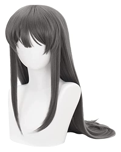 WELLHY Cosplay Perücke Anime Cosplay Perücke 80CM Frauen Dunkelgrau Langes glattes Haar mit Perückenkappe for Halloween Party Karneval Nachtleben Konzerte Hochzeiten for Coser von WELLHY