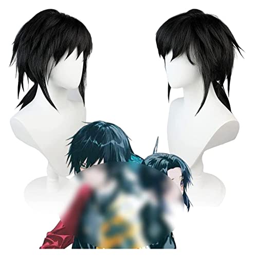 WELLHY Cosplay Perücke Anime Cosplay Perücke Demon Slayer Perücken Tomioka Giyuu Perücken for Halloween Hitzebeständige Kunsthaarperücke Kein Verheddern Kein Ausfallen for Coser von WELLHY