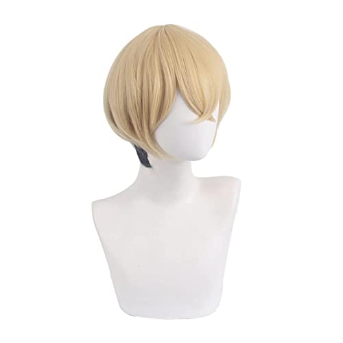 WELLHY Cosplay Perücke Anime Cosplay Perücke Tokyo Revengers Wiki Perücke mit gratis Perückenkappe for Halloween Party Karneval Nachtleben Konzerte Hochzeiten (Chifuyu Matsuno) for Coser von WELLHY