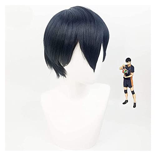 WELLHY Cosplay Perücke Anime Cosplay Perücken Haikyuu Tobio Kageyama Blau Kurzhaarperücke Männlich Cosplay Party Perücken + Perückenkappe for Coser von WELLHY
