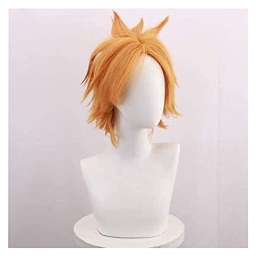 WELLHY Cosplay Perücke Anime Cosplay Perücken My Hero Academia Kaminari Denki Khaki Anti-Alice Cosplay Perücke Hochtemperaturseide Anime Perücke for Coser von WELLHY