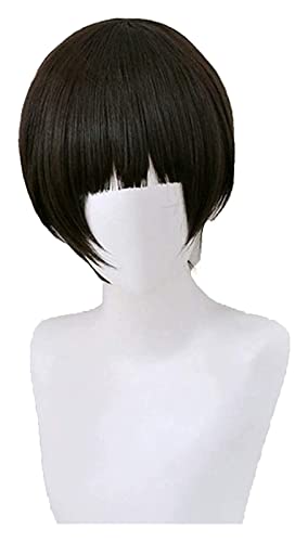 WELLHY Cosplay Perücke Anime Herren Perücken Kurze Perücken for Goshiki Tsutomu Cosplay Perücken for Kostüm Chucky Niedlich Mode Synthetische Perücken for Party Cosplay Halloween FLYAND for Coser von WELLHY