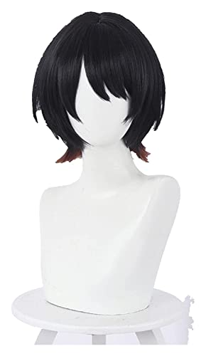 WELLHY Cosplay Perücke Anime Rent a Girlfriend Sarashina Ruka Cosplay 35 cm Perücke mit Kopfbedeckung Hitzebeständiges Faserhaar Anime Cosplay Perücke Halloween for Coser von WELLHY