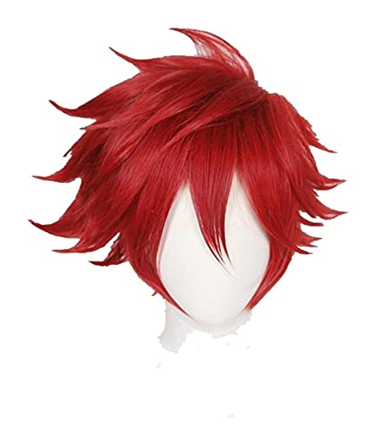WELLHY Cosplay Perücke Anime SK8 The Reki Cosplay Perücke Rotes Haar Männer Kurze Lockige Kopfbedeckung Halloween Karneval Party Requisiten for Coser von WELLHY