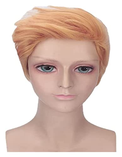 WELLHY Cosplay Perücke Anime Spiel Cosplay Perücke Männer Blonde Kurze Haare mit Perückenkappe for den Alltag Halloween Party Karneval Nachtleben Konzerte Hochzeiten Coser Perücke von WELLHY