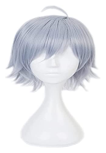 WELLHY Cosplay Perücke Anime Twisted-Wonderland Cosplay Perücke Herren kurz grau Synthetik Perücken kurz lockig geschnitten mit stummen Haaren for silberne Rollenspiele Halloween Perücken mit Perücken von WELLHY