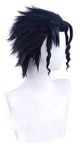 WELLHY Cosplay Perücke Anime 's Bizarre Adventure Cosplay Kujo Jotaro Herren Schwarz Blau Perücke Anime Cosplay Hitzebeständige Synthetische Perücke Halloween for Coser von WELLHY