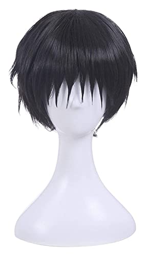 WELLHY Cosplay Perücke Ankunft Schwarze Cosplay Perücken Männer Kurze Hitzebeständige Synthetische Haare Perucas Cosplay Perücke for Coser von WELLHY