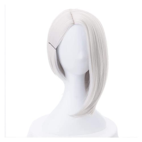 WELLHY Cosplay Perücke Ashe Cosplay Perücke 30cm Kurz Glatt Hitzebeständig Kunsthaar OW Game Perücke Silber-Weiß Kostüm Party Perücke for Coser von WELLHY