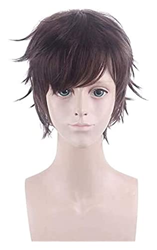 WELLHY Cosplay Perücke Cosplay Perücken My Hero Academia Overhaul Eri Wig Baku no Hero Midoriya Shoto Fighter Cosplay Perücken 30cm FLYAND for Coser von WELLHY