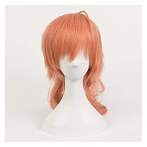 WELLHY Cosplay Perücke FGO Fate/Grand Order Romani Archaman Dr. Roman Doctor Cosplay Perücke Orange Pferdeschwänze Synthetische Halloween Karneval Kostüm Perücken for Coser von WELLHY