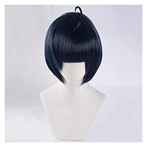 WELLHY Cosplay Perücke FLYAND Game P5 Persona 5 Takemi Tae Short Mixed Blue Perücke Hitzebeständiges Haar Cosplay Perücken + Gratis Perückenkappe for Coser von WELLHY
