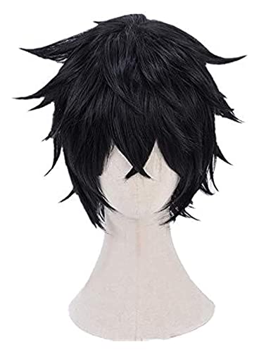 WELLHY Cosplay Perücke FLYAND The Rising of The Shield Held Naofumi Iwatani Schwarze Kurze Perücke Hitzebeständiges Haar Cosplay Kostüm Perücken + Gratis Perückenkappe for Coser von WELLHY